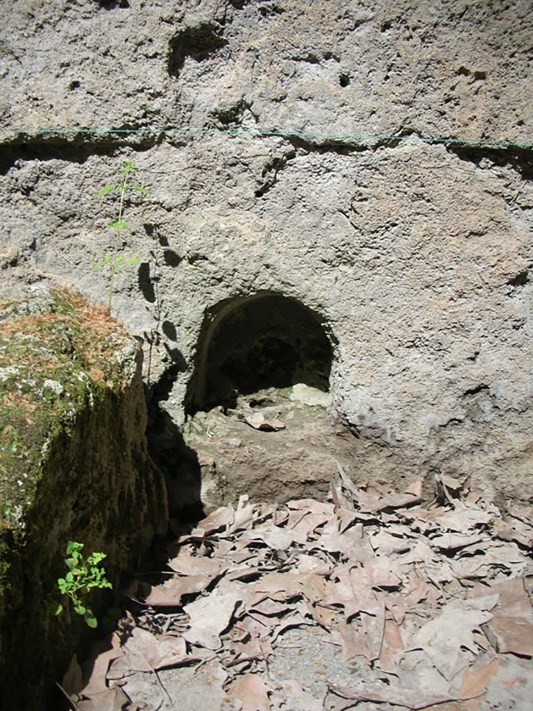 Porta Stabia, Pompeii. May 2010. Lower niche. Photo courtesy of Ivo van der Graaff.
According to Van der Graaff-
“The Pompeii Archaeological Research Project: Porta Stabia (PARP:PS), run by the University of Cincinnati, has excavated at the Porta Stabia as part of a wider investigation into the adjacent urban district (see Fig. 1.3).    ………………………
The excavations also discovered an altar buried beneath two niches carved in the eastern passageway.
The lowest niche and the altar are associated with the first two phases of the gate.
In a later phase, around 100 BCE, workers built the opus incertum vault in conjunction with the towers.
In a final phase, engineers built the causeway, repaved the road, and added a drain in the Augustan period or soon thereafter (Note 85).”
See Van der Graaff, I. (2018). The Fortifications of Pompeii and Ancient Italy. Routledge, (p.20).
