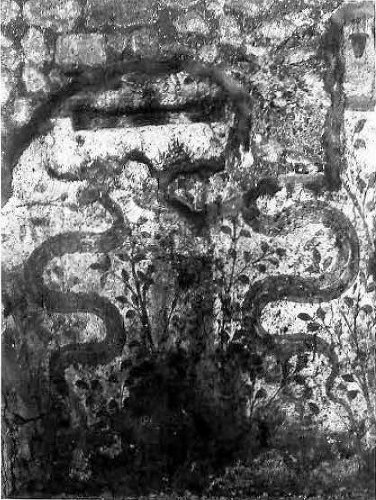 VII.6.3 Pompeii. Remains of Lararium wall painting in kitchen g.
Below the roof tile set into the wall as a sacrificial plate, in the middle of the lower picture zone there is a round altar on a high base, flanked by two vertically rising snakes. Large, green bushes form the background. In the upper part of the picture a sacrificial scene was depicted, of which only a few remains have survived: Above the sacrificial plate on the left a brown structure, probably the lower part of the altar, on the right the shoe-clad feet and the bare calves of a figure, probably Camillus, to his left a green leaf. The genius will have to be added between the altar and the servant. Approximately 50 cm to the right of the Camillus is a red situla held on two ribbons, into which a stream of wine hits, the only remnant of the right Laren, which, judging from the situla, must have been much larger than the other figures.
See Fröhlich, T., 1991. Lararien und Fassadenbilder in den Vesuvstädten. Mainz: von Zabern. (p.288, L87, T: 42,1).