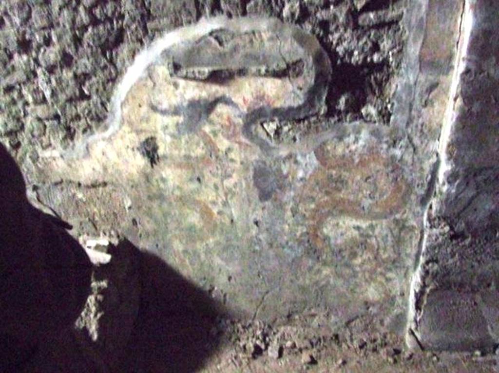VII.6.3 Pompeii. December 2007. Remains of Lararium wall painting in kitchen g. According to Boyce, this was located on the north wall next to the ruins of a masonry structure, probably the hearth. It was painted on a white background.  In the lower zone, two yellow serpents were confronted at a cylindrical altar with offerings, the background adorned with many plants.  A tile was embedded in the wall above the painted altar to serve as a projecting shelf for offerings in front of the painted figures in the upper zone.  Only faint traces of these figures could be seen at the time of excavation. 
See Boyce G. K., 1937. Corpus of the Lararia of Pompeii. Rome: MAAR 14. (p.67, no.287)