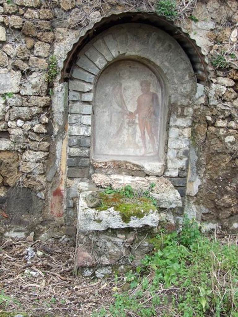 VII.11.14 Pompeii. March 2009. Garden “C”, lararium and altar on west wall.  On either side were the painted Lares, smaller than the figures in the niche. Now vanished. According to Boyce, Helbig placed the Lares on the projecting walls of the arch. Fiorelli put them on the wall of the room outside the niche. Their figures have entirely disappeared but the side walls of the niche, decorated with foliage, show that they could not have been painted there. 
See Helbig, W., 1868. Wandgemälde der vom Vesuv verschütteten Städte Campaniens. Leipzig: Breitkopf und Härtel. (67)
See Fiorelli, Scavi, p.26, p.108, No.41
See Fiorelli, Descr., 280.
See Pappalardo, U., 2001. La Descrizione di Pompei per Giuseppe Fiorelli (1875). Napoli: Massa Editore. (p.110, where the Lares are described as “Nymphs”.