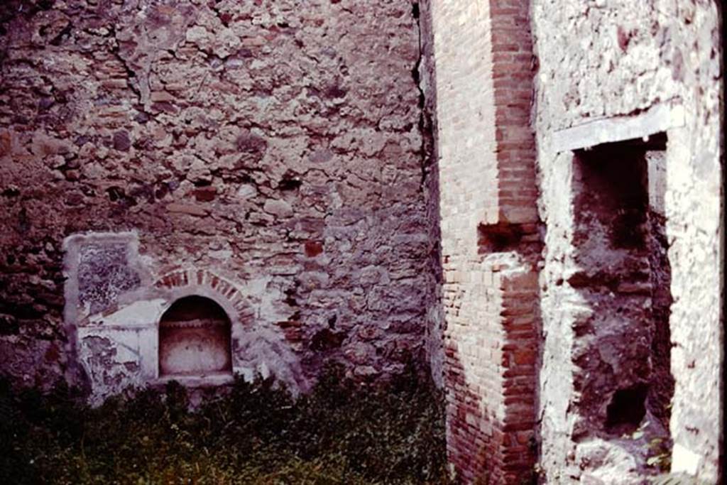 VII.15.8 Pompeii, 1978. Looking towards niche in north wall of garden area. Photo by Stanley A. Jashemski.   
Source: The Wilhelmina and Stanley A. Jashemski archive in the University of Maryland Library, Special Collections (See collection page) and made available under the Creative Commons Attribution-Non Commercial License v.4. See Licence and use details. J78f0238
According to Boyce, in the centre of the north wall of the garden area near the floor, was an arched niche. The wall around it was covered with a rectangular panel of white stucco. On this was an aedicula façade which was marked off with yellow and violet lines in low relief. The work was delicately executed but somewhat irregular.
See Boyce G. K., 1937. Corpus of the Lararia of Pompeii. Rome: MAAR 14. (p.72, no.332, Pl.6,2)