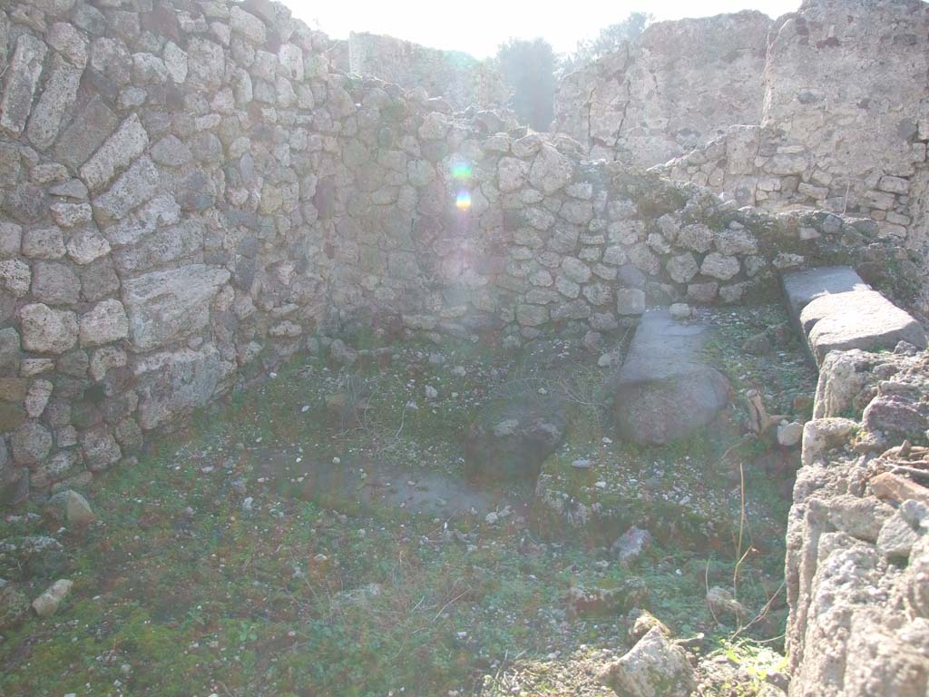 VII.16.13 Pompeii. December 2007. Room 29, looking west to site of steps.
According to Boyce –
in the west wall of the rear room with the large oven was an arched niche (h.0.80, w.0.62, d.0.35, h. above floor 1.20), of irregular shape. 
Its walls were profusely decorated on a pink background with spots of many colours combined with star-like flowers on the vaulted ceiling.
See Boyce G. K., 1937. Corpus of the Lararia of Pompeii. Rome: MAAR 14. (p. 73, no. 339, location given as VII.16.12).