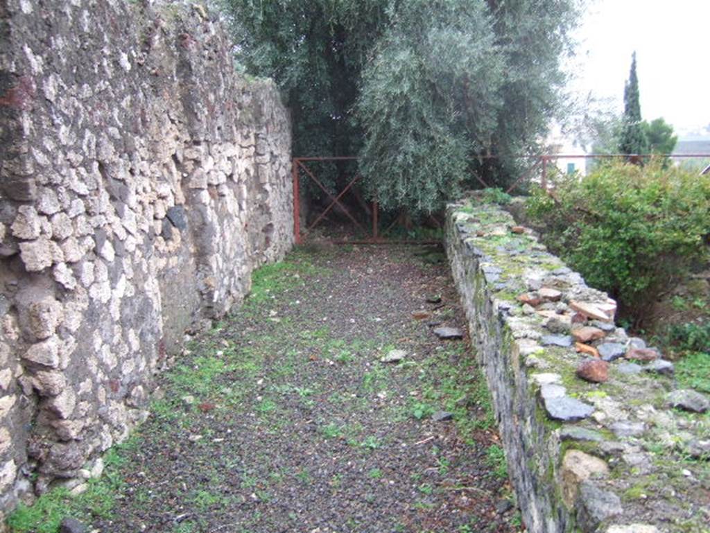 VIII.2.1 Pompeii. December 2005. Looking south along east side of peristyle garden. According to Boyce, off the south portico of the peristyle opened a sacrarium. See Boyce G. K., 1937. Corpus of the Lararia of Pompeii. Rome: MAAR 14. (p.74, no.341)