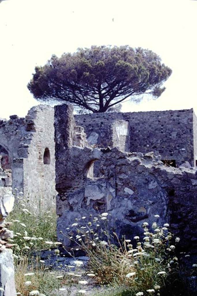 VIII.3.21 Pompeii. 1968. Looking east towards wall with niche, from end of entrance corridor. 
On the left is the north wall of room (4) with another niche. Photo by Stanley A. Jashemski.
Source: The Wilhelmina and Stanley A. Jashemski archive in the University of Maryland Library, Special Collections (See collection page) and made available under the Creative Commons Attribution-Non-Commercial License v.4. See Licence and use details.
J68f1181