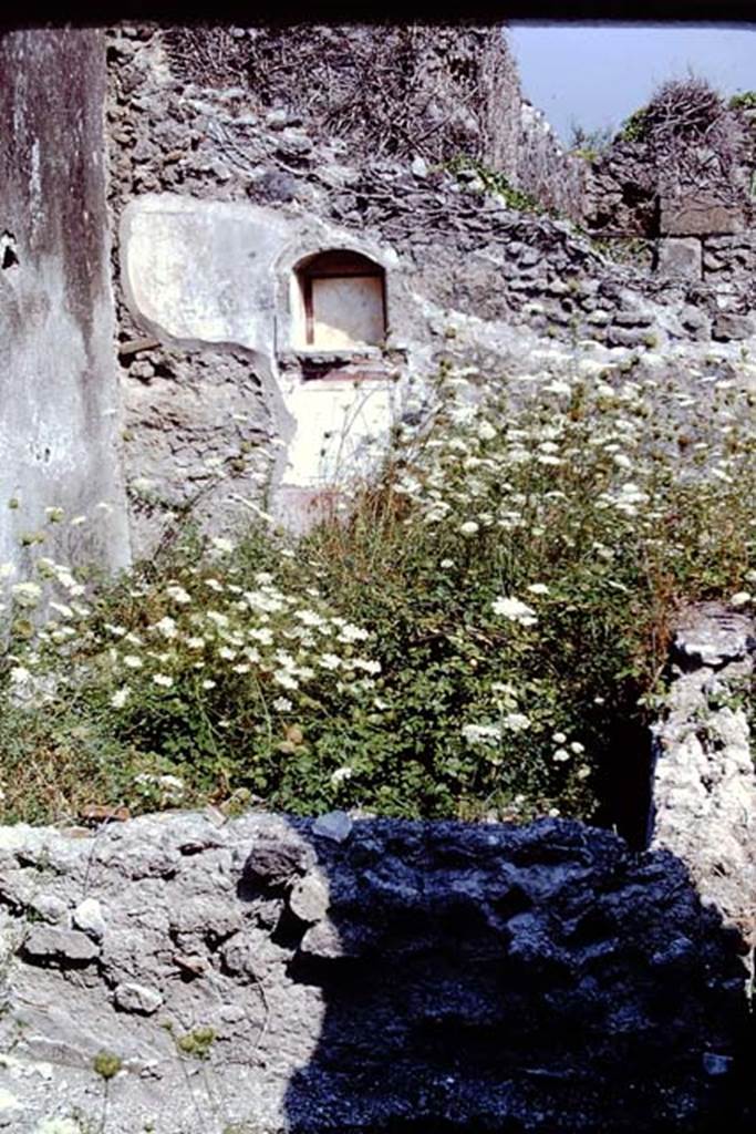 VIII.3.21 Pompeii. 1968. Looking towards the north wall of the garden area, with arched niche.  Photo by Stanley A. Jashemski.
Source: The Wilhelmina and Stanley A. Jashemski archive in the University of Maryland Library, Special Collections (See collection page) and made available under the Creative Commons Attribution-Non Commercial License v.4. See Licence and use details.
J68f1180