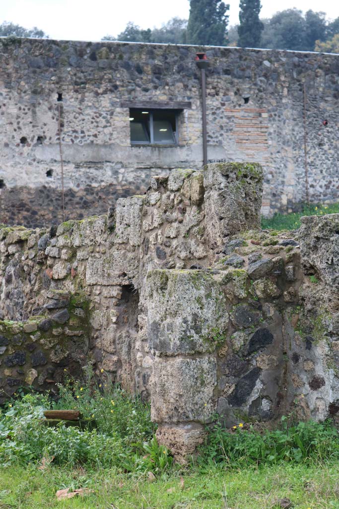 VIII.7.10 Pompeii. December 2018. 
Detail of north wall of rear room, with niche. Photo courtesy of Aude Durand.