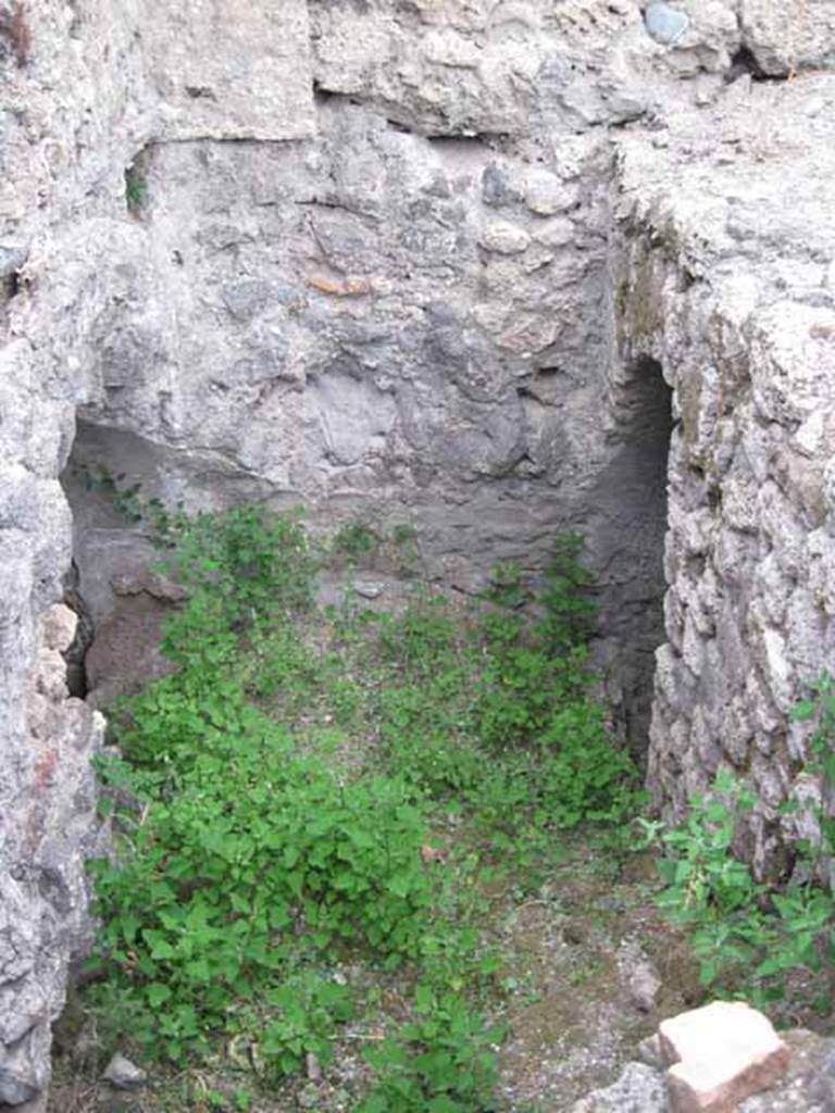 VIII.7.22/23/24 Pompeii. October 2010. Looking north towards end of corridor. On the left, entrance to underground vaulted room on west side of corridor.On the right, doorway to room on east side. Photo and information courtesy of Drew Baker/Gareth Beale/Hembo Pagi.
According to Boyce, in the north wall of a corridor leading from the underground kitchen to the posticum at VIII.7.22, was a large arched niche. This was I.0 metre high, 0.85 wide, 0.50 deep and 0.70 above the floor. The back wall of the niche was painted red, and on it was the figure of Fortuna, clad in a green tunic and yellow mantle. In her left hand she held a cornucopia, and in her right, a rudder. To the left of her feet was a large globe. The side walls of the niche and the area under the feet of the goddess were decorated with green plants. See Boyce G. K., 1937. Corpus of the Lararia of Pompeii. Rome: MAAR 14.  (p.78, no:378)
Fiorelli describes, VIII.7.22 as a corridor belonging to VIII.7.24, with stairs to upper floor.  Nearby is the kitchen, in which remains the niche of the Penates, with the image of Fortuna with cornucopia and rudder.
See Pappalardo, U., 2001. La Descrizione di Pompei per Giuseppe Fiorelli (1875). Napoli: Massa Editore. (p.134)