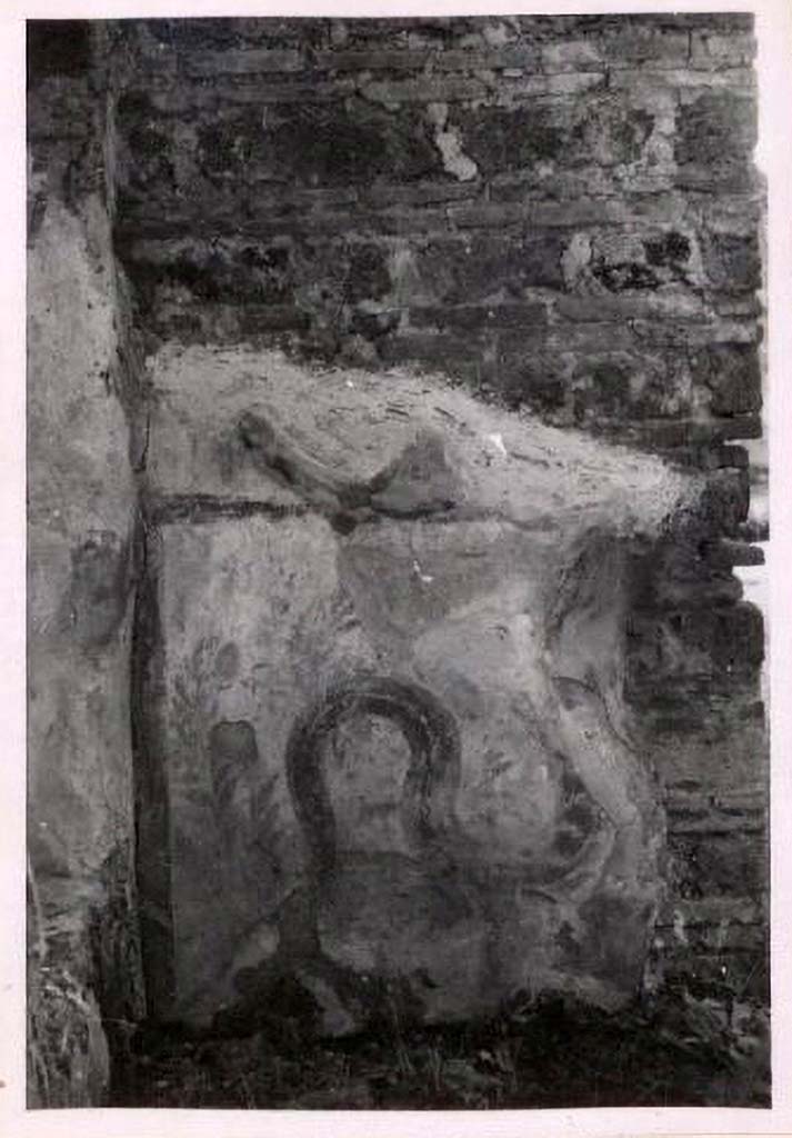 IX.2.6 Pompeii. Pre-1943. Photo by Tatiana Warscher.
According to Warscher, quoting Fiorelli –
In a rear room (b), on the west wall, is a fragmentary panel of white stucco bordered in red, on which is painted a single red serpent coiling among plants.
See Warscher, T. Codex Topographicus Pompeianus, IX.2. (1943), Swedish Institute, Rome. (no.15a.), p. 39.
Boyce records:
Taberna. 1n a rear room, on the W. wall, is a fragmentary panel of white stucco bordered in red, on which is painted a single red serpent coiling among plants.
FIORELLI, Scavi, 55.
See Boyce G. K., 1937. Corpus of the Lararia of Pompeii. Rome: MAAR 14, (p. 80, no. 391).