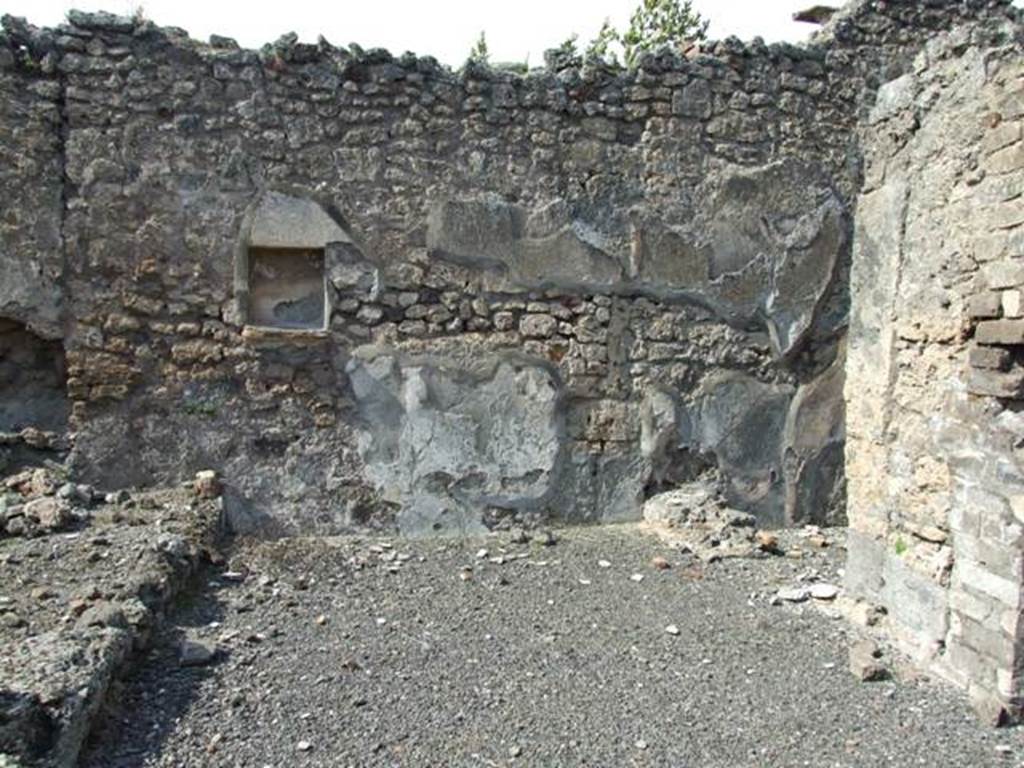 IX.2.18 Pompeii. March 2009.  Room 11. Garden area.  North wall of East Portico.   Below the niche was a painted serpent creeping between plants. 
On the plants were birds and an owl.  Today, only the niche remains.
See Giacobello, F., 2008. Larari Pompeiani: Iconografia e culto dei Lari in ambito domestico.  Milano: LED Edizioni. P.283