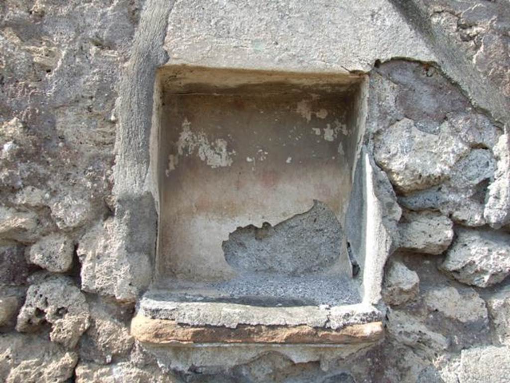 IX.2.18 Pompeii. March 2009.  Room 11, garden area. Niche on north wall of east portico area. According to Boyce, this rectangular niche was coated with white stucco like the wall surrounding it. The back wall was covered with red spots, imitating flowers, its floor was a projecting tile.
Painted on the wall below was an altar and from the right a huge red and yellow serpent with a crest approached it. Around the serpent were painted plants, and on them was perched an owl and other birds. Behind the serpent were two dolphins and a sea-monster. Four other small dolphins were painted somewhere nearby. Sogliano said they were sul podio della nicchietta.
See Boyce G. K., 1937. Corpus of the Lararia of Pompeii. Rome: MAAR 14. (p.81 and Pl.1,4)
See Sogliano, A., 1879. Le pitture murali campane scoverte negli anni 1867-79. Napoli. (p.18-19, no.62)