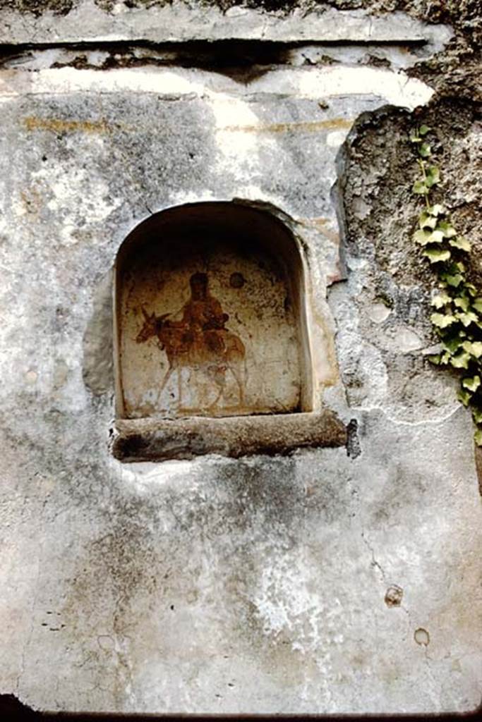IX.2.24 Pompeii. 1961. 
Lararium niche on west wall of stable. Photo by Stanley A. Jashemski.
Source: The Wilhelmina and Stanley A. Jashemski archive in the University of Maryland Library, Special Collections (See collection page) and made available under the Creative Commons Attribution-Non Commercial License v.4. See Licence and use details.
J61f0296
According to Boyce, on the rear wall of the niche was a painting of Epona riding a donkey/ass.
She had blond hair and a veil falling down over the back of her head and was wearing a white tunic and white boots.
She held the red reins in her right hand. In her left she held a child in green swaddling clothes, who held his arms out to her.
On the wall of the room on either side of the niche was a painted Lar, wreathed and wearing a white tunic with a vertical red stripe.
Below the niche, a man in a short dark tunic leads two donkeys behind him.
In the lower zone a large serpent advances from the right towards an altar furnished with offerings.
Across the top of the whole painting is tretched a garland with taeniae.
See Boyce G. K., 1937. Corpus of the Lararia of Pompeii. Rome: MAAR 14. (p. 82, no. 403 and Pl. 24, 2.)