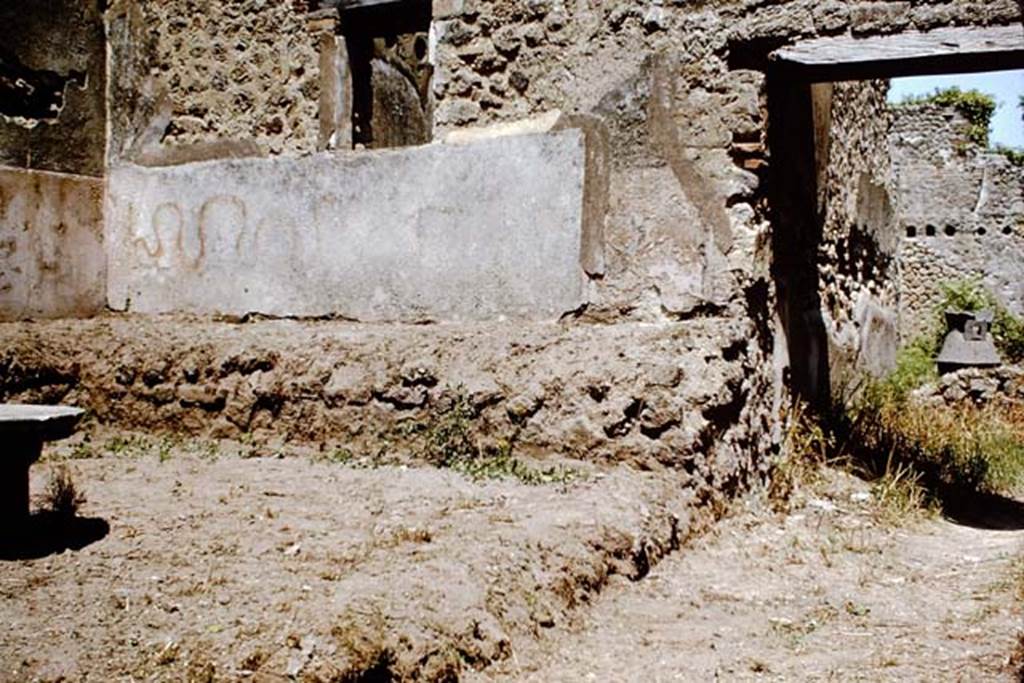 IX.3.20 Pompeii. 1964. Room 8, garden area. East wall with raised planting bed or bench and painted serpent.   Photo by Stanley A. Jashemski.
Source: The Wilhelmina and Stanley A. Jashemski archive in the University of Maryland Library, Special Collections (See collection page) and made available under the Creative Commons Attribution-Non Commercial License v.4. See Licence and use details.
J64f1636