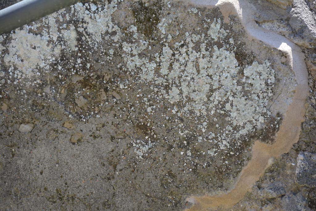 IX.5.14 Pompeii. May 2017. Kitchen “q”, detail from south wall.
Foto Christian Beck, ERC Grant 681269 DÉCOR.