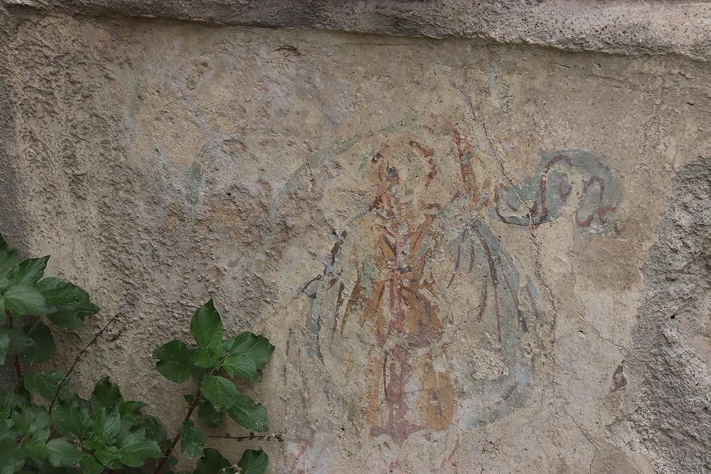 IX.7.12, 14 or 16 (?) Pompeii. October 2024. Garden area “e”, detail from north wall of lararium. Photo courtesy of Klaus Heese.
According to Boyce -
“On each of the side walls are painted three figures: from back to front – 
a plant, a Lar, a man in a white garment holding in his left hand an object resembling a black cup, with a patera in his right hand.”
See Boyce G. K., 1937. Corpus of the Lararia of Pompeii. Rome: MAAR 14. (p.89, no.445).