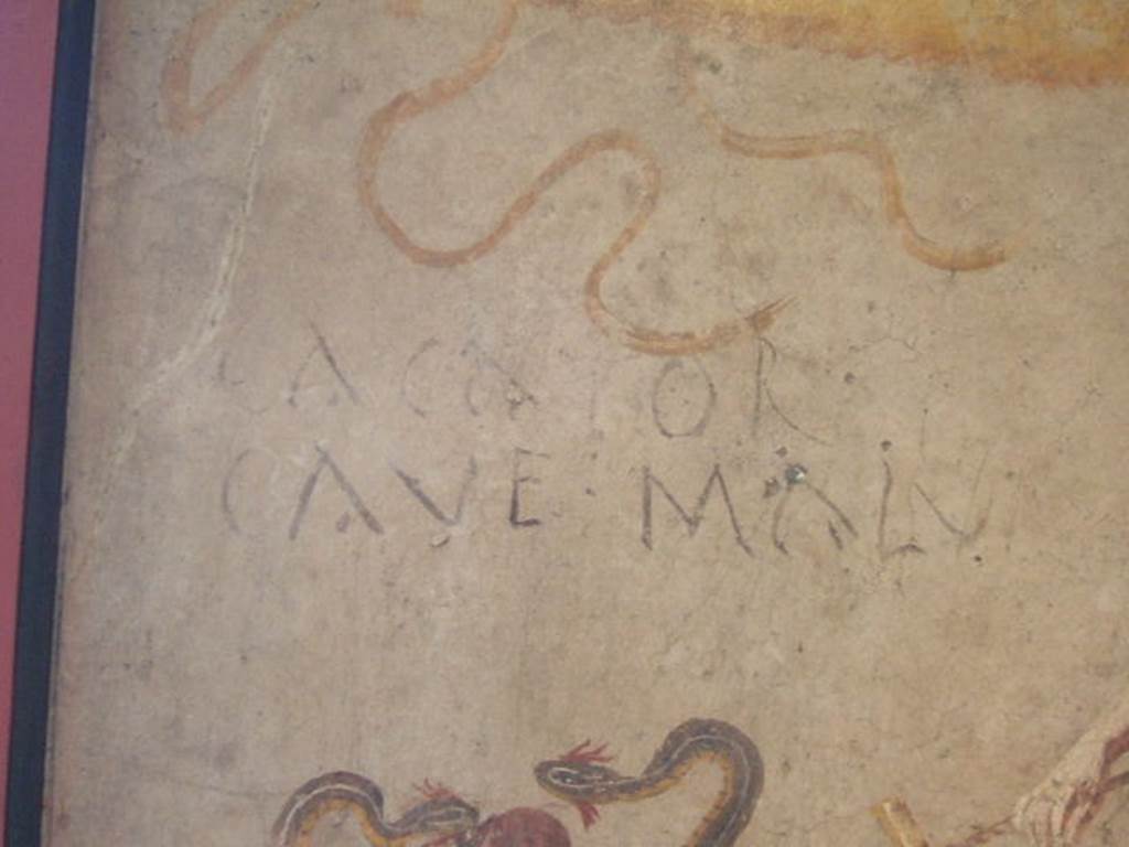 Cacator Cave Malu(m) inscription found on lararium wall painting of Isis Fortuna found in IX.7.21/22.  Now in Naples Archaeological Museum. Inventory number: 112285.  According to Giacobello, the house communicated with the workshop, across the atrium. In the corridor that led to the latrine, was found the fresco figuring Fortuna, a male figure and serpents, with the inscription Cacator cave malu(m). See Giacobello, F., 2008. Larari Pompeiani: Iconografia e culto dei Lari in ambito domestico.  Milano: LED Edizioni. (p.250)