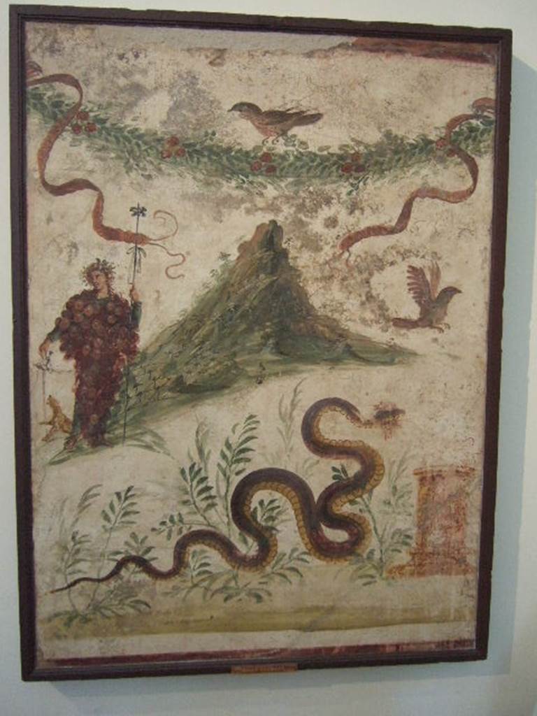 IX.8.3-6 Pompeii. Room 23, Lararium painting found in atrium of servants quarters.  Lararium painting of Bacchus wearing a bunch of grapes.  Also in the painting are a garland, birds and a serpent approaching a round altar from the left.   Bacchus is pouring wine for the panther to drink.   The mountain slopes are covered in vines. Now in Naples Archaeological Museum.  Inventory number: 112286. See Fröhlich, T., 1991. Lararien und Fassadenbilder in den Vesuvstädten. Mainz: von Zabern. (L107, T: 11). See Boyce G. K., 1937. Corpus of the Lararia of Pompeii. Rome: MAAR 14. (p.89, no.448 and Pl. 40, 2)