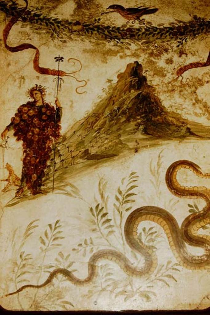 IX.8.3-6 Pompeii.
Room 23, detail from lararium painting found in atrium of servants’ quarters.  
Now in Naples Archaeological Museum.  Inventory number 112286. Photo by Stanley A. Jashemski.
Source: The Wilhelmina and Stanley A. Jashemski archive in the University of Maryland Library, Special Collections (See collection page) and made available under the Creative Commons Attribution-Non Commercial License v.4. See Licence and use details.
J57f0514
Kuivalainen comments –
“A fully covered Bacchus is the personification of the vine. The volcano has generally been identified as Vesuvius as it was before the eruption of 79AD, making this picture a local landscape; the owner of the house may have had vineyards on the slopes of the mountain. Or else it depicts Mount Nysa, where Bacchus was raised…………”
See Kuivalainen, I., 2021. The Portrayal of Pompeian Bacchus. Commentationes Humanarum Litterarum 140. Helsinki: Finnish Society of Sciences and Letters, (p.116-18, C17).