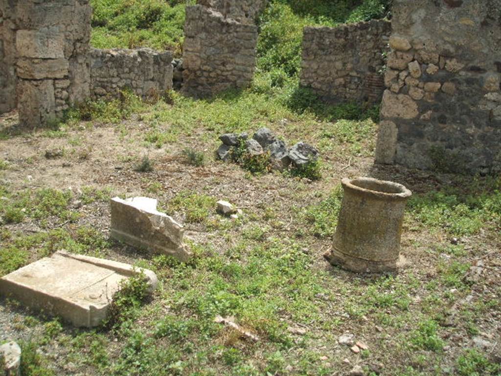 IX.8.c Pompeii. May 2005. Site of east portico, looking south into unexcavated.
According to Boyce – 
In the west wall of the kitchen, reached from the south side of the peristyle, was a rectangular niche (h.0.44, w.0.65, d.0.26, h. above floor 1.0). On the wall above it was a lararium painting. 
The Genius was on the right of a flaming tripod adorned with garlands.
On the left was a tibicen and to the right stood a camillus. On each side of this group stood a Lar.
The serpents were painted on the back wall of the niche.
Both serpents were red and yellow, and their tails extended over onto the side walls of the niche.
The altar between them was painted as imitation red and yellow variegated marble.
The layer of plaster on which the serpents had been painted had partly fallen away, revealing beneath it an earlier layer.
The earlier layer was also decorated with painted figures, however Boyce thought it was impossible to ascertain what they were.
He quoted reference – Not. Scavi, 1880, 298.
See Boyce G. K., 1937. Corpus of the Lararia of Pompeii. Rome: MAAR 14. (p. 90, no. 452).