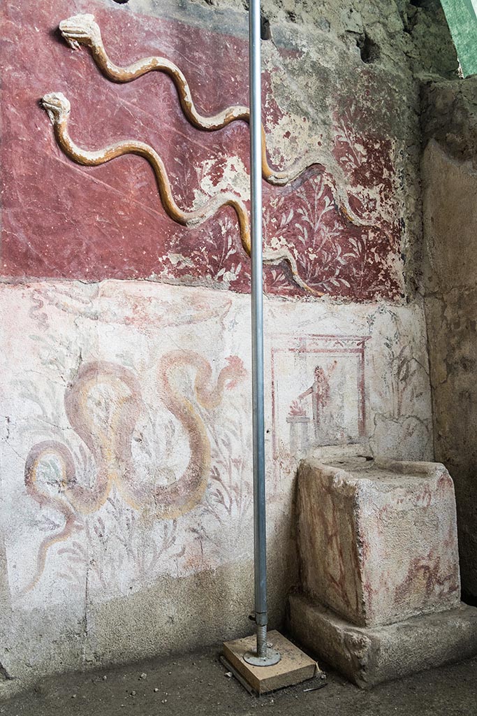 IX.10.1, Pompeii. July 2024. 
Room 12, lararium and painted altar at west end of south wall. Photo courtesy of Johannes Eber.
The lower register consists of a white background into which the masonry pulvinus altar decorated in fresco with brown faux-marble highlights is inserted. On the left side there is a fresco of a crested and bearded serpent heading towards the altar, which is surmounted by a painted rectangular aedicule terminating in vegetal whorls, and which frames the Genius patris familias with cornucopia and patera making libations at a circular altar. 
The partial deterioration of the painted plaster base on which the scenes of the last phase are laid reveals, in a position off-centre from the previous one, a similar scene belonging to an older decorative phase.
Il registro inferiore è costituito da una specchiatura a fondo bianco (1,55 x 2,20 m) in cui si inserisce l’altare a pulvino in muratura (0,75 x 0,50 m) decorato ad affresco con lumeggiature brune a finto marmo. Sulla sinistra è affrescato un serpente crestato e barbato che si dirige verso l’altare (Fig. 12), sormontato da un’edicola rettangolare dipinta e terminante in girali vegetali, che inquadra il Genius patrisfamilias con cornucopia e patera che compie libagioni presso un altare circolare (Fig. 13). La parziale consunzione della base pittorica a grassello di calce su cui sono stese le scene di ultima fase lascia intravedere, in posizione decentrata rispetto alla precedente, una scena simile appartenente ad una fase decorativa più antica.
See PAP e-journal 6, 28.09.2023, p. 64, fig. 11. Download: PAP e-journals 2023 collection volumes 01-09