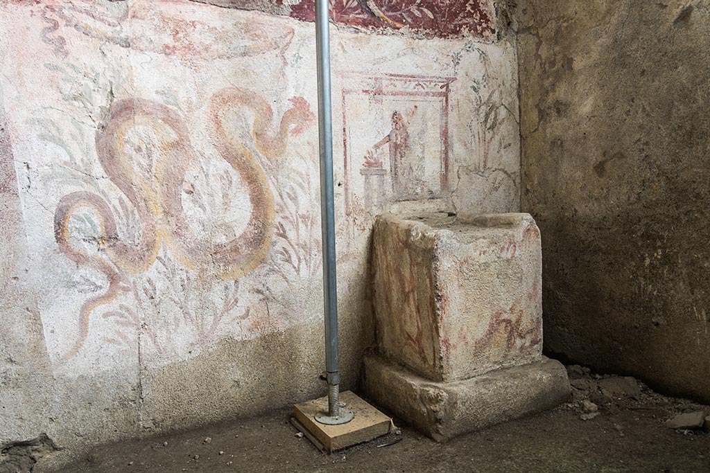 IX.10.1, Pompeii. July 2024. Room 12, painted serpent on south wall. Photo courtesy of Johannes Eber.
Snake in the lower register.
On the left side there is a fresco of a crested and bearded serpent heading towards the altar.
Serpente nel registro inferiore.
Sulla sinistra è affrescato un serpente crestato e barbato che si dirige verso l’altare.
See PAP e-journal 6, 28.09.2023, p. 65, fig. 12. Download: PAP e-journals 2023 collection volumes 01-09