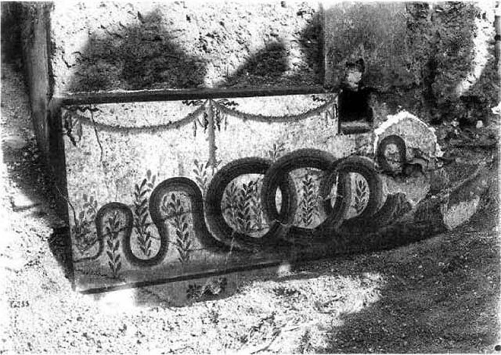 52. Boscoreale, fondo Marchese Imperiali, Villa in località Civita. Lararium painting.
A photograph of the present image, AFS B 3999, taken in 1905, is kept in the Archivio fotografico della Soprintendenza archeologica di Pompei, which bears the note "Pompei, Contrada Civita Giuliana". Our Tafel 53,2 uses this photograph. In the excavation reports on finds in the area around Pompeii, and its neighbouring communities there is no information that could be related to the picture. Regarding: Probably destroyed or buried today, a well-preserved section of the picture can be seen in the photograph from 1905. 
White-ground wall surface in a rectangular niche. A large snake moves in many coils between individual oleander-like plants to the right towards a round altar. Two garlands are painted on the left at the top of the picture, with a third hanging down between them. On the right, the small niche extends into the upper edge. How the image continued to the right is unknown. There is a white-ground base with plants underneath the snake image. Dating: Probably Third Style.
See Fröhlich, T., 1991. Lararien und Fassadenbilder in den Vesuvstädten. Mainz: von Zabern, (p.305, L125, pl. 53.2.)