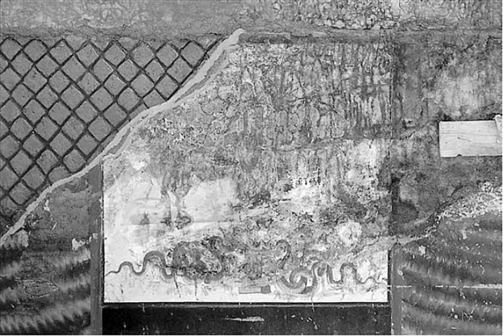 50A. Complesso dei triclini in località Moregine a Pompei. Excavation photo. Kitchen F. West wall.
At the centre of the west wall is a large lararium painted with scenes of sacrifice on a white background. In the foreground, in the centre, is an altar to which two long snakes approach, rich in details as regards the scales. In the background, also in the centre, there is a priest, head veiled, dressed in a white mantle with red borders. On the sides two attendants with ivy crowned heads and short white robes act as helpers.
See Nappo, S. C., 2001. La decorazione parietale dell'hospitium dei Sulpici in località Murecine a Pompei MEFR Antiquité, tome 113, n°2. 2001, pp. 889-890, fig. 31.