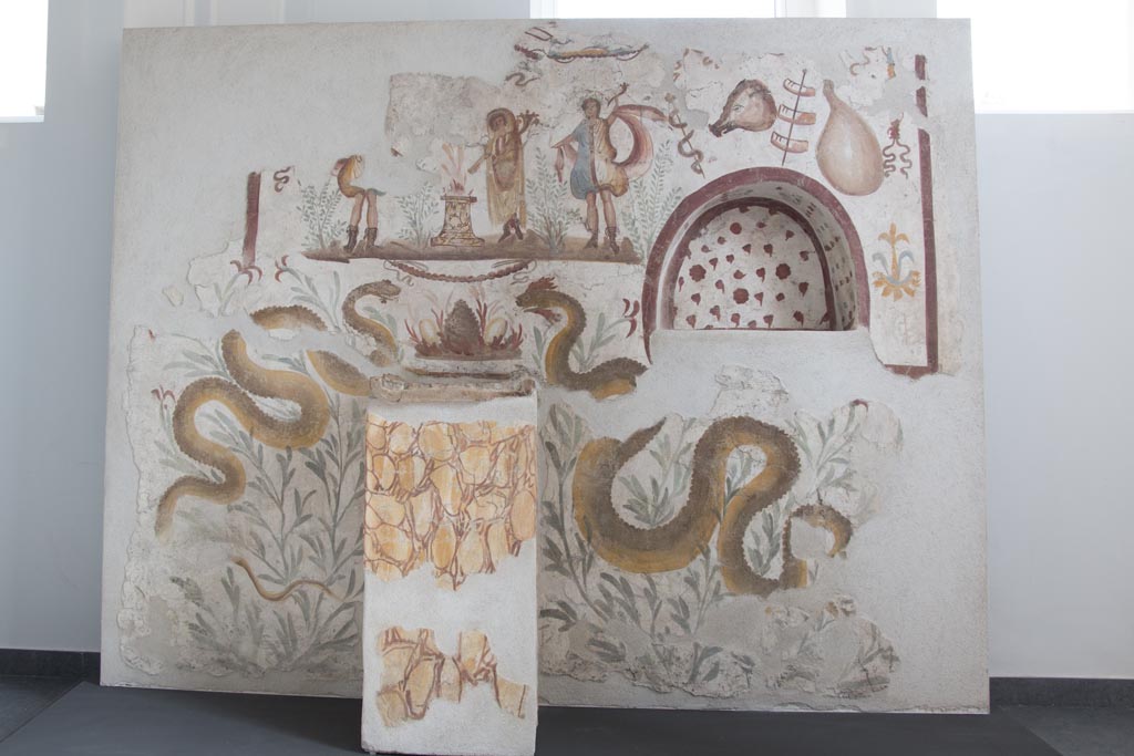 Terzigno, Cava Ranieri, Villa 6. Painting and niche from west wall of kitchen (11).
Il larario e stato rinvenuto il 6 giugno 1997; staccato dalla parete, è stato sottoposto a restauro conservativo e restitutivo; sono stati effettuati pulitura chimica e meccanica, e interventi di ritocco pittorico per ripristinare le immagini.
Il larario, uno dei più significativi e meglio conservati dell’area vesuviana, si articola su due registri; in quello superiore e raffigurato, presso un altare circolare dipinto a finto marmo sul quale bruciano le offerte, il Genius patrisfamiliae togato con himation bianco-giallo profilato in rosso, sollevato sopra la testa; la mano destra, protesa verso l’altare, stringe una patera, mentre la sinistra regge la cornucopia. Ai lati vi sono i due Lari – di quello a sinistra si conservano la parte inferiore e la testa -, di dimensioni maggiori rispetto al Genio.
Sotto alla linea di terra, in un secondo registro, sono raffigurati muoversi verso un altare, tra cespugli e fiori di iris, due serpenti dal corpo avviluppato in numerose spire di colore bruno con dorso giallo. Sotto l'altare rotondo dipinto e tra i serpenti si trova un altare in muratura dipinto a finto marmo. A destra si trova una nicchia ad arco dipinta con rose rosse. Sopra la nicchia si trovano un'anguilla su uno spiedo, una testa di maiale, pezzi di carne su uno spiedo e un prosciutto.
The lararium was found on the 6th of June 1997, cut from the wall, and it underwent conservation and restoration; chemical and mechanical cleaning was carried out, as well as pictorial retouching to restore the images.
The lararium, one of the most significant and best-preserved in the Vesuvian area, is divided into two registers; in the upper one, near a circular altar painted in imitation marble on which offerings are burnt, is depicted the Genius patrisfamiliae togatus with a white-yellow himation outlined in red, raised above his head; his right hand, outstretched towards the altar, holds a patera, while his left holds a cornucopia. At the sides are the two Lari - of the one on the left the lower part and the head are preserved -, larger than the Genie.
Below the ground line, in a second register, are depicted moving towards an altar, amidst bushes and iris flowers, two snakes with their bodies entwined in numerous brown coils with yellow backs. A masonry altar painted in imitation marble is below the round painted altar and between the serpents. To the right is an arched niche painted with red roses. Above the niche are an eel on a skewer, a pigs head, pieces of meat on a skewer and a ham.
See Giacobello, F., 2008. Larari Pompeiani: Iconografia e culto dei Lari in ambito domestico. Milano: LED Edizioni, (p.221, no.4, fig. 2)