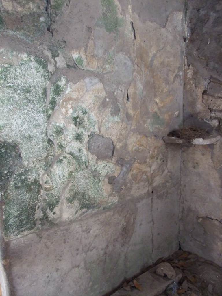 I.10.7 Pompeii. March 2009. Room 9, south wall.  
Remains of lararium, with painting of two serpents.
According to Boyce, the west end of the portico was closed off as a kitchen.
On the south wall beside the large hearth was a panel of white stucco.
Within were painted two large coiling serpents, yellow with scales indicated in red.
Both have a crest and beard and a protruding tongue.
Both coil from the left, one above the other, approaching a marble slab adorned with a lion’s head in relief.
This was set into the corner formed by the hearth and the south wall of the room at the level of their heads.
In the background were plants.
See Notizie degli Scavi di Antichità, 1934, 282, and fig.8.
See Boyce G. K., 1937. Corpus of the Lararia of Pompeii. Rome: MAAR 14. (p.29, no.56, and Pl.27, 2)