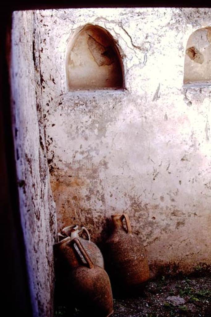 I.12.11 Pompeii. 1968. Room with two niches. Photo by Stanley A. Jashemski.
Source: The Wilhelmina and Stanley A. Jashemski archive in the University of Maryland Library, Special Collections (See collection page) and made available under the Creative Commons Attribution-Non Commercial License v.4. See Licence and use details.
J68f1256