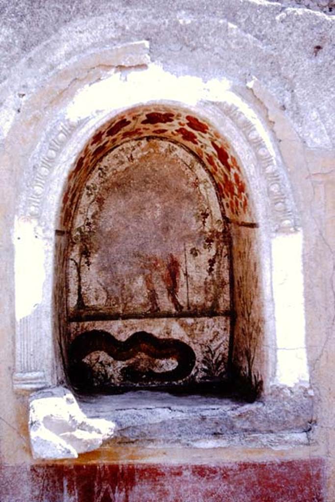 I.12.16 Pompeii. 1964. Room 1, niche on south wall of atrium. Photo by Stanley A. Jashemski.
Source: The Wilhelmina and Stanley A. Jashemski archive in the University of Maryland Library, Special Collections (See collection page) and made available under the Creative Commons Attribution-Non Commercial License v.4. See Licence and use details.
J64f1715
Kuivalainen describes this as III Style –
“A youth stands on a simple dark terrain line against a white background. His weight is on his right foot and he wears boots and a long red cloak reaching the calves: in his right hand he probably holds a vessel, in his raised left hand a thyrsus with leaves. A panther sits on his left side, facing him. On the extreme left grows a vine, which forms an arch above the composition. On the vault there are red and orange flowers. Below is a lower zone with a huge slithering snake.”
Kuivalainen comments –
“A young half-naked Bacchus offering wine to a panther. A lone Bacchus in a lararium is a rare scene. Separate figurines were certainly added in front of the serpent.”
See Kuivalainen, I., 2021. The Portrayal of Pompeian Bacchus. Commentationes Humanarum Litterarum 140. Helsinki: Finnish Society of Sciences and Letters, (p.114-15, C14).