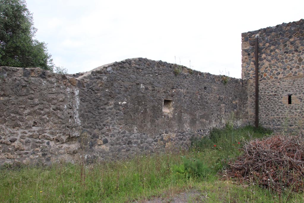I.15.3 Pompeii. May 2024. West wall of garden/vineyard, with niche near north-west corner. Photo courtesy of Klaus Heese.