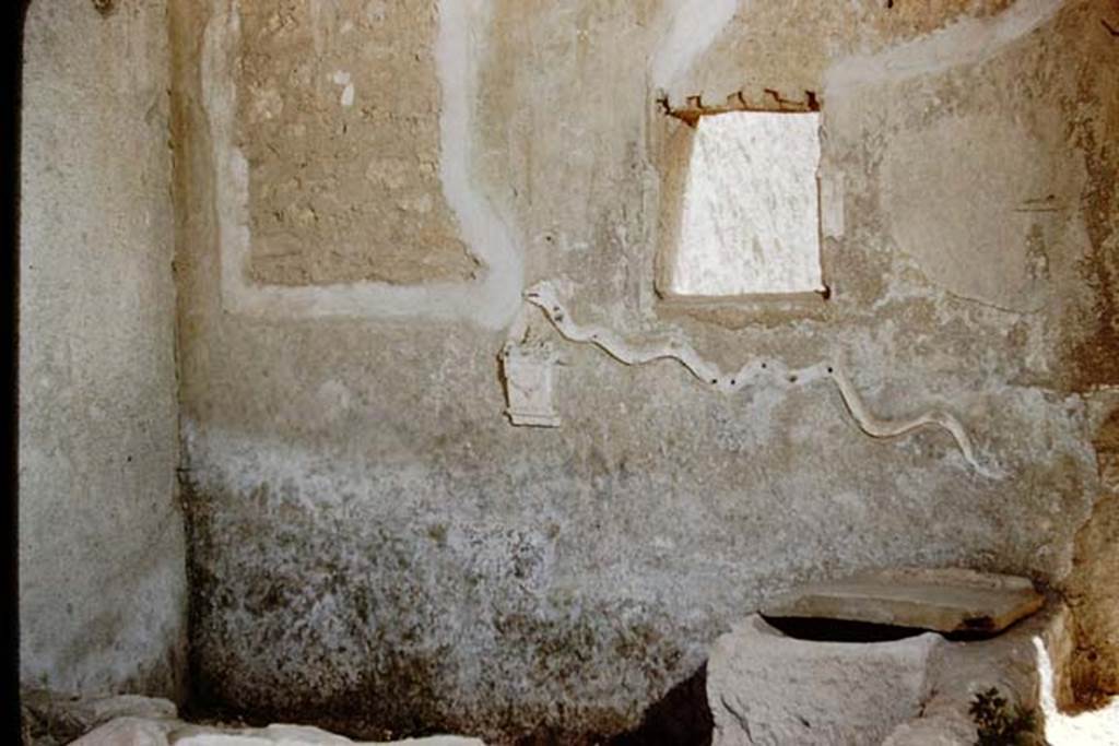 I.16.3 Pompeii. 1959. Looking towards south wall, east corner of small garden/pool. 
The stucco relief serpent, with a small altar below the head of the serpent, can both be seen. 
At the foot of the wall was a garden painting.  Photo by Stanley A. Jashemski.
Source: The Wilhelmina and Stanley A. Jashemski archive in the University of Maryland Library, Special Collections (See collection page) and made available under the Creative Commons Attribution-Non Commercial License v.4. See Licence and use details.
J59f0506