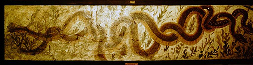 II.4.6 Pompeii. 1957. Part of the sacrarium, with serpents and plants.
Now in Naples Archaeological Museum. Inventory number 9693.
Photo by Stanley A. Jashemski.
Source: The Wilhelmina and Stanley A. Jashemski archive in the University of Maryland Library, Special Collections (See collection page) and made available under the Creative Commons Attribution-Non-Commercial License v.4. See Licence and use details.
J57f0516