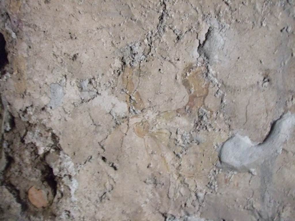 II.9.1 Pompeii. December 2007. Remains of wall painting of man with arm raised.  Is this the picture Frohlich refers to as a very faded painting on the west wall of room 9? See Fröhlich, T., 1991, Lararien und Fassadenbilder in den Vesuvstädten.  Mainz: von Zabern. (L41b:p.266). 
According to Giacobello, a painted lararium was seen on the west wall of room 9, in the centre of white wall plaster. A serpent was coiled around an altar, the Genius assisted by a camillo was sacrificing. The Lares were at the sides of this scene. See Giacobello, F., 2008. Larari Pompeiani: Iconografia e culto dei Lari in ambito domestico.  Milano: LED Edizioni. (p.162)