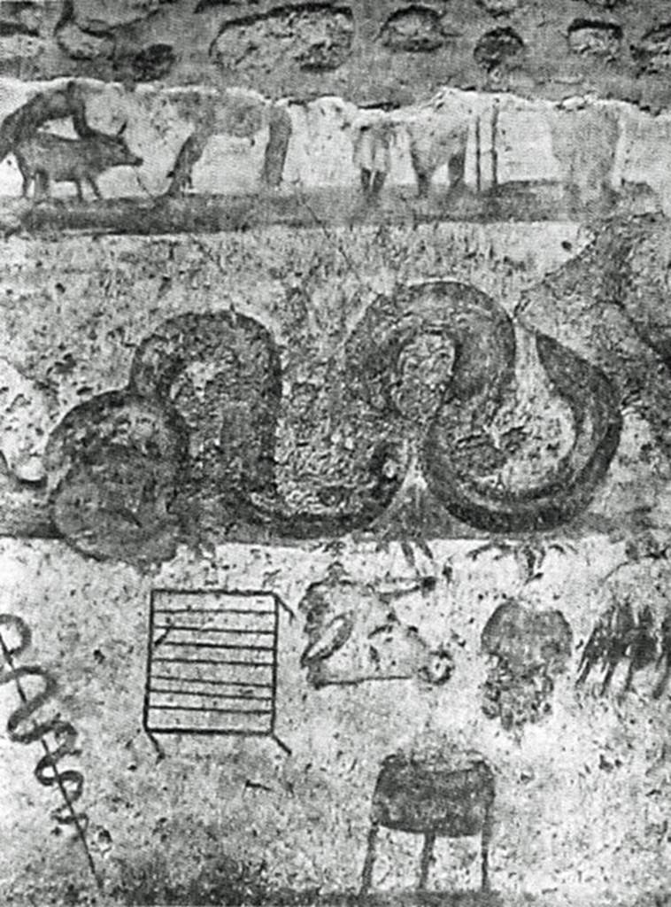 V.4.3 Pompeii. 1901 photograph of lararium painting on east wall of kitchen.
According to Boyce, the entire east wall beside the hearth was covered with the lararium painting.
The painting had three zones.
On the top zone only the lower part of the figures remained. 
- Around a tripod are three figures. 
- To the right is the genius, to the left the tibicen and the camillus. 
- On each side stands a Lar. 
- To the left a naked man leads a pig which he holds by tail and ear.
In the middle zone 
- a serpent advances right, 
- presumably to an altar that must have been over the hearth but was missing when excavated.
In the lower zone are kitchen utensils, and food items:
- Two suspended sausages
- An eel on a spit
- A suspended grid iron
- A pigs head
- An indistinguishable object
- Several hanging birds.
- A cooking pot on a tripod.
See Notizie degli Scavi di Antichità, 1901, p. 258-9, fig. 2.
See Boyce G. K., 1937. Corpus of the Lararia of Pompeii. Rome: MAAR 14.  (119b).