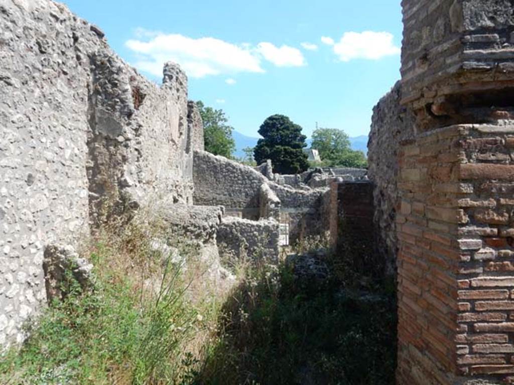 V.4.9 Pompeii. May 2017.  Looking south from entrance into the room in the south-east corner of the atrium, across site of latrine. In the centre of the photo can be seen the rear rooms of V.4.7.  Photo courtesy of Buzz Ferebee.