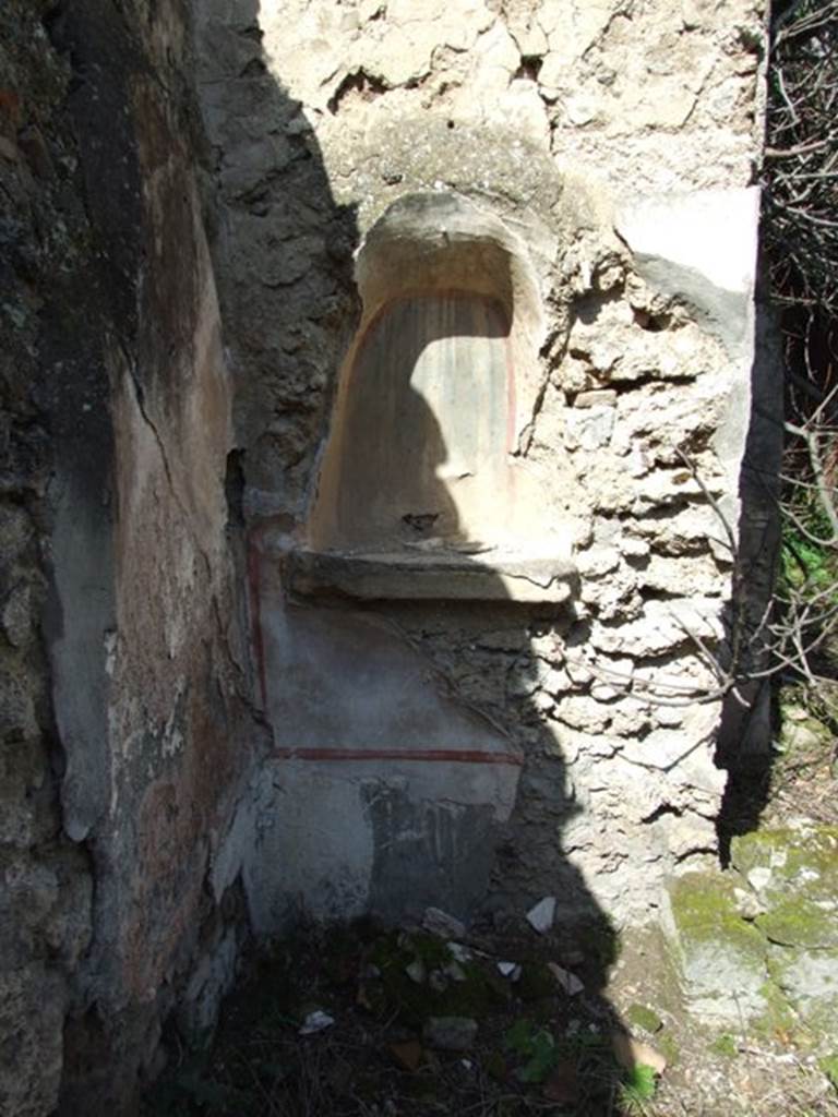 V.4.13 Pompeii. March 2009. Lararium niche in north-west corner of garden. According to Boyce, on the north side of the garden was a section coated with white stucco and marked off as a panel with broad red stripes. In it was set a large arched niche.  The corners within the arch were outlined in red, as was the shape of the niche on the surrounding wall. The rear wall was painted blue, studded with red and yellow spots and yellow stars with red centres. On the ground before the niche stood a masonry altar covered in stucco. The altar had a rectangular hollow in its upper surface. In this hollow, traces of burning were seen by the excavators. Around the corner from this niche, on the west wall of the open area which precedes the garden on the north, was a broad sheet of white plaster. On this plaster were painted two yellow serpents near a cylindrical altar with fruit, in the background were plants. In the floor below this painting were the marks left by a square masonry altar.
See Boyce G. K., 1937. Corpus of the Lararia of Pompeii. Rome: MAAR 14. (p.42, no.126, Pl. 11,2)
