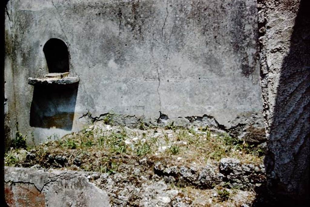 V.4.c Pompeii. 1961. Looking towards east wall of garden K, with niche.  Photo by Stanley A. Jashemski.
Source: The Wilhelmina and Stanley A. Jashemski archive in the University of Maryland Library, Special Collections (See collection page) and made available under the Creative Commons Attribution-Non Commercial License v.4. See Licence and use details.
J61f0856