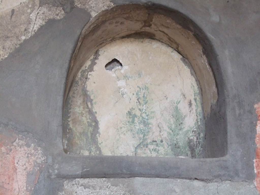 VI.5.3 Pompeii. December 2007. Room 20, niche in west wall.  According to Boyce, in the room opening off the south-west corner of the atrium, in the west wall opposite the entrance door, is an arched niche. This is set high up in the wall. Its interior walls were painted with green plants on a white background.  The niche is made to stand out from the decoration of the walls of the room, for it is set across the line which divides the lower panels, which are alternating red and yellow, from the upper register, which is white. See Boyce G. K., 1937. Corpus of the Lararia of Pompeii. Rome: MAAR 14. (p.46, no.152)
