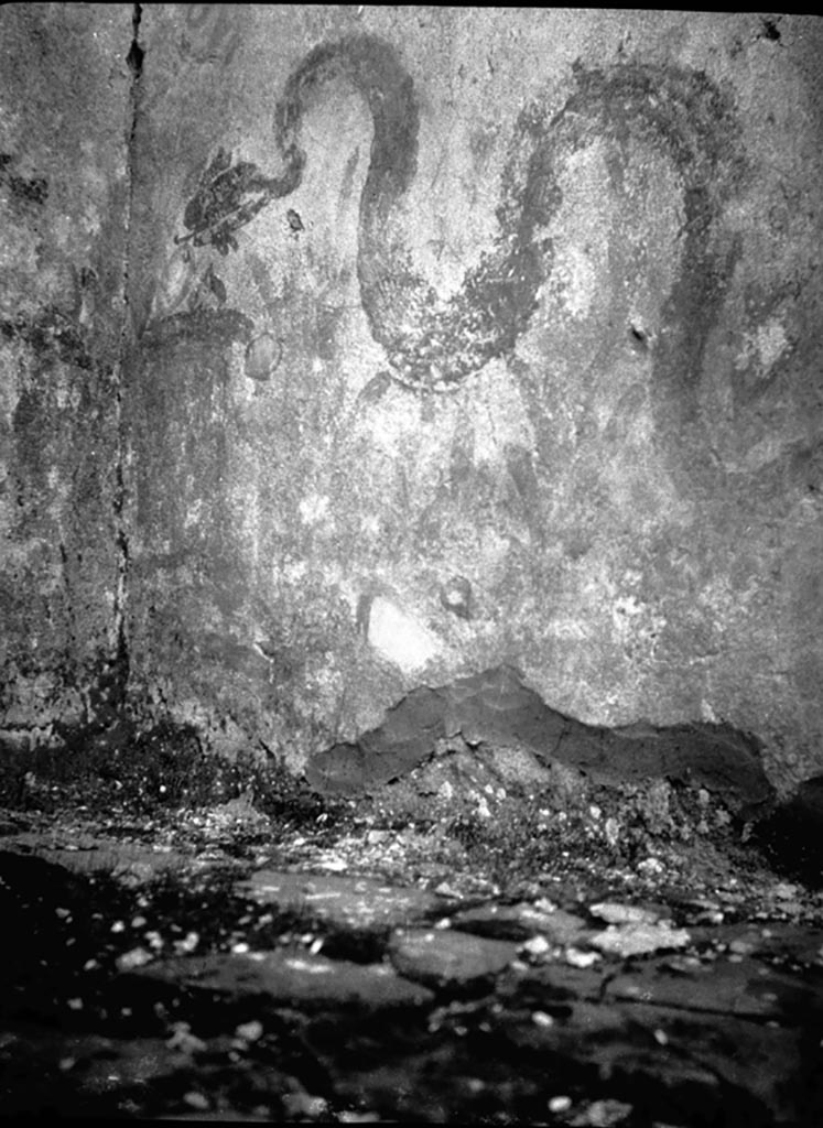 VI.9.7 Pompeii. W1068. 
Room 4, north-west corner of kitchen, remains of lararium painting of serpent on north wall.
Photo by Tatiana Warscher. Photo © Deutsches Archäologisches Institut, Abteilung Rom, Arkiv.