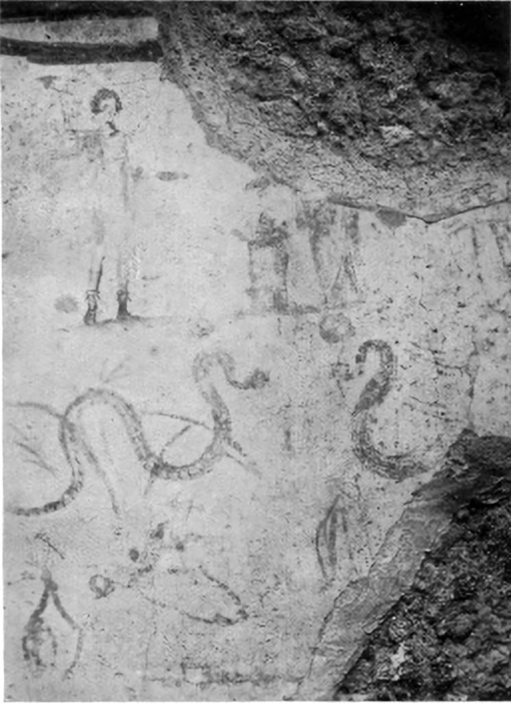 VI.15.11 Pompeii. 1930s photo by Tatiana Warscher. West wall of shop, with doorway into rear room.
According to Boyce, on the east wall in the room behind the shop, was a very crude lararium painting.
In the upper zone stood the Lares in the usual attire and position, between them was the Genius.
In the lower zone were two serpents confronted at an altar furnished with two eggs.
In the background were plants.
Below the serpents, there were roughly sketched drawings of a ham, a hog’s head, sausages, and other foods.
Above the panel and hanging down on each side, were painted garlands.
See Notizie degli Scavi di Antichità, 1897, 199.
See Boyce G. K., 1937. Corpus of the Lararia of Pompeii. Rome: MAAR 14. (p.55, no.217, and Pl.22, 2)
See Fröhlich, T., 1991. Lararien und Fassadenbilder in den Vesuvstädten. Mainz: von Zabern. (L72, he said it was destroyed and no longer visible)