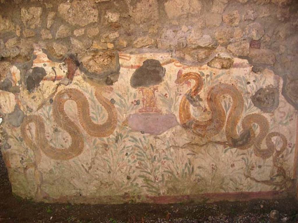 VI.16.40 Pompeii. July 2008. Room F, lararium on west wall. Photo courtesy of Barry Hobson.
According to Boyce, in the room F reached by the corridor (E) leading from the bar-room, was a lararium painting. It was on a large panel on the west wall bordered with broad stripes, yellow at the sides, red at the top. Within were painted two serpents confronted at a cylindrical altar. The serpents were of a brownish colour and each had a red crest and beard, both larger on the one on the right. The altar was tiny in comparison with the serpents, and was painted in imitation of red and yellow marble. On the top of the altar were two eggs and a pine cone. Below the painted altar, a tile was embedded in the wall to hold the offerings. The background was profusely adorned with green plants and red flowers. Across the top of the panel was stretched a triple festoon, upon the middle of which perched a bird.
See Notizie degli Scavi di Antichità, 1908, 370.
See Boyce G. K., 1937. Corpus of the Lararia of Pompeii. Rome: MAAR 14. (p.59, no.230, and Pl.27,1) 
See Fröhlich, T., 1991. Lararien und Fassadenbilder in den Vesuvstädten. Mainz: von Zabern. (L77, Picture 9,2 from the west and north walls)