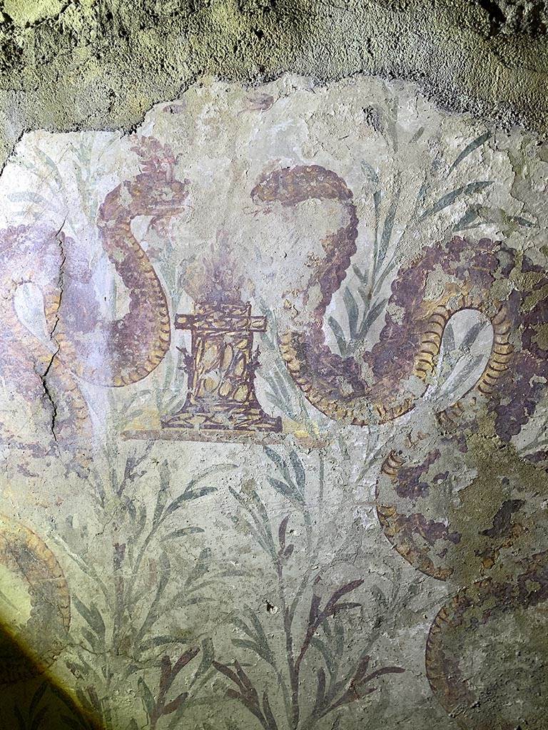 VII.2.20 Pompeii. November 2024. 
West wall of Sacellum, detail of painted serpents. Photo courtesy of Yuliya Sanchenko.