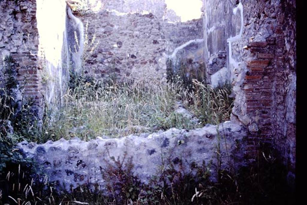 PL.17A. Pompeii, 1978. Photo by Stanley A. Jashemski.   
Source: The Wilhelmina and Stanley A. Jashemski archive in the University of Maryland Library, Special Collections (See collection page) and made available under the Creative Commons Attribution-Non Commercial License v.4. See Licence and use details.
J78f0333   
(The Jashemski number on the photo follows on from the one above it but may not be from the same place. This also may also have been reversed when scanned so may need flipping horizontally).