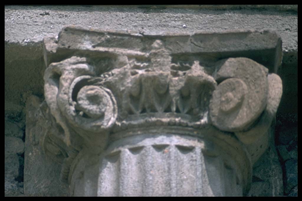 M.9. Column and capital, from unknown location. 
Photographed 1970-79 by Günther Einhorn, picture courtesy of his son Ralf Einhorn.