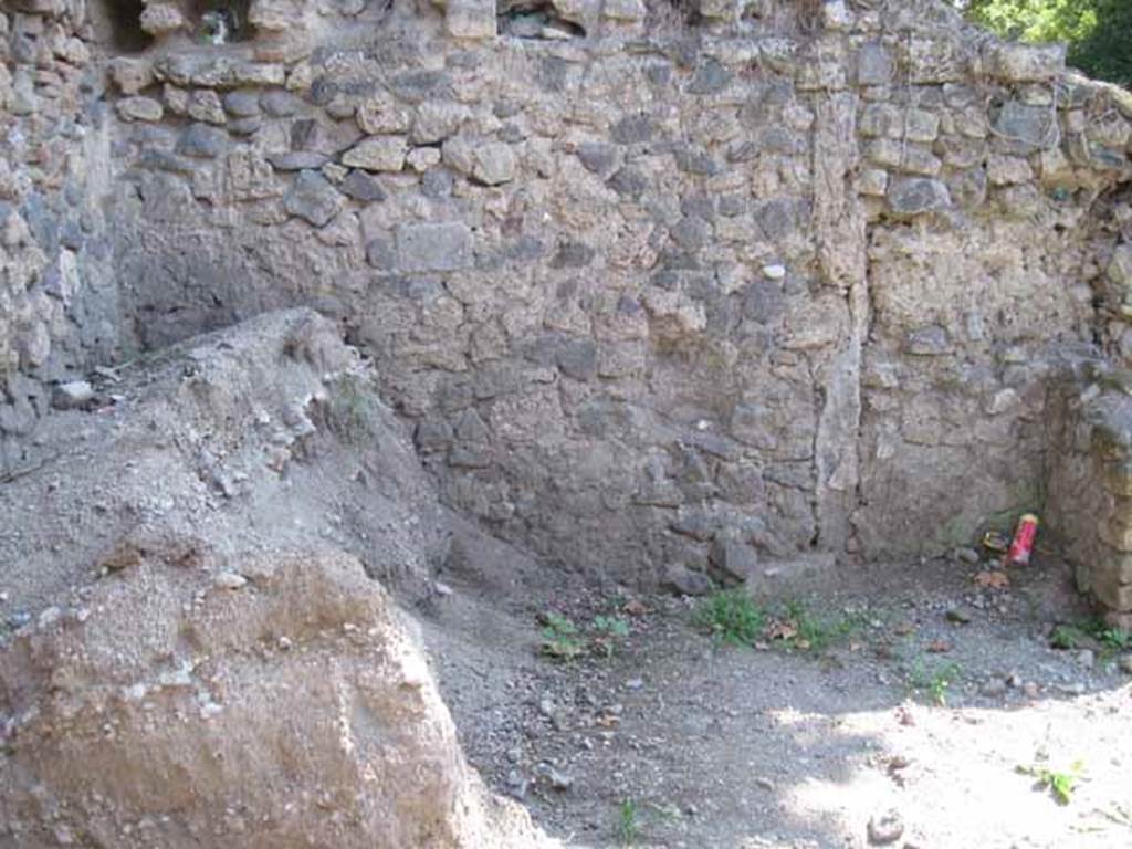 .1.10 Pompeii. September 2010. Looking south towards south-east corner
Photo courtesy of Drew Baker.