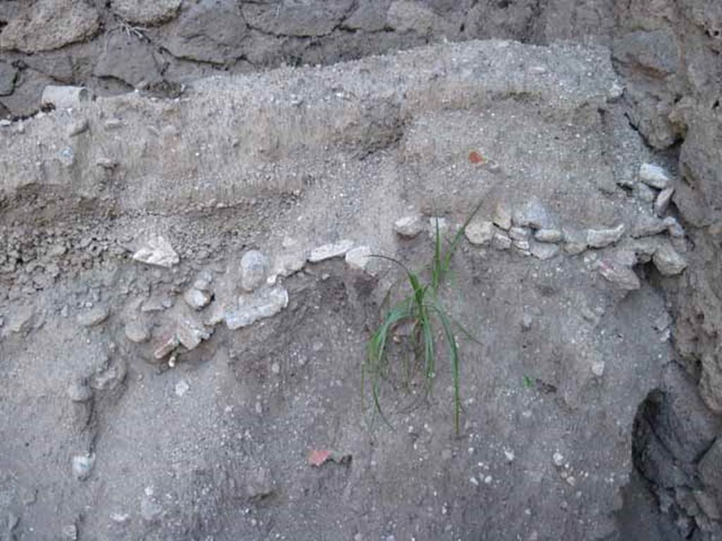 1.1.10 Pompeii. September 2010. Looking east towards south-east corner, detail of matrix (original?) showing fresco fragments, lapilli etc in situ. 
Photo courtesy of Drew Baker.