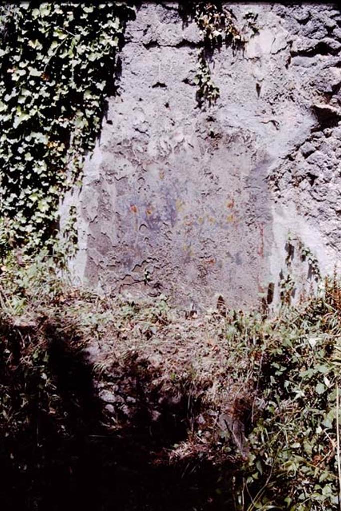 I.2.10 Pompeii. 1964. East wall of garden area   Photo by Stanley A. Jashemski.
Source: The Wilhelmina and Stanley A. Jashemski archive in the University of Maryland Library, Special Collections (See collection page) and made available under the Creative Commons Attribution-Non Commercial License v.4. See Licence and use details. J64f1292