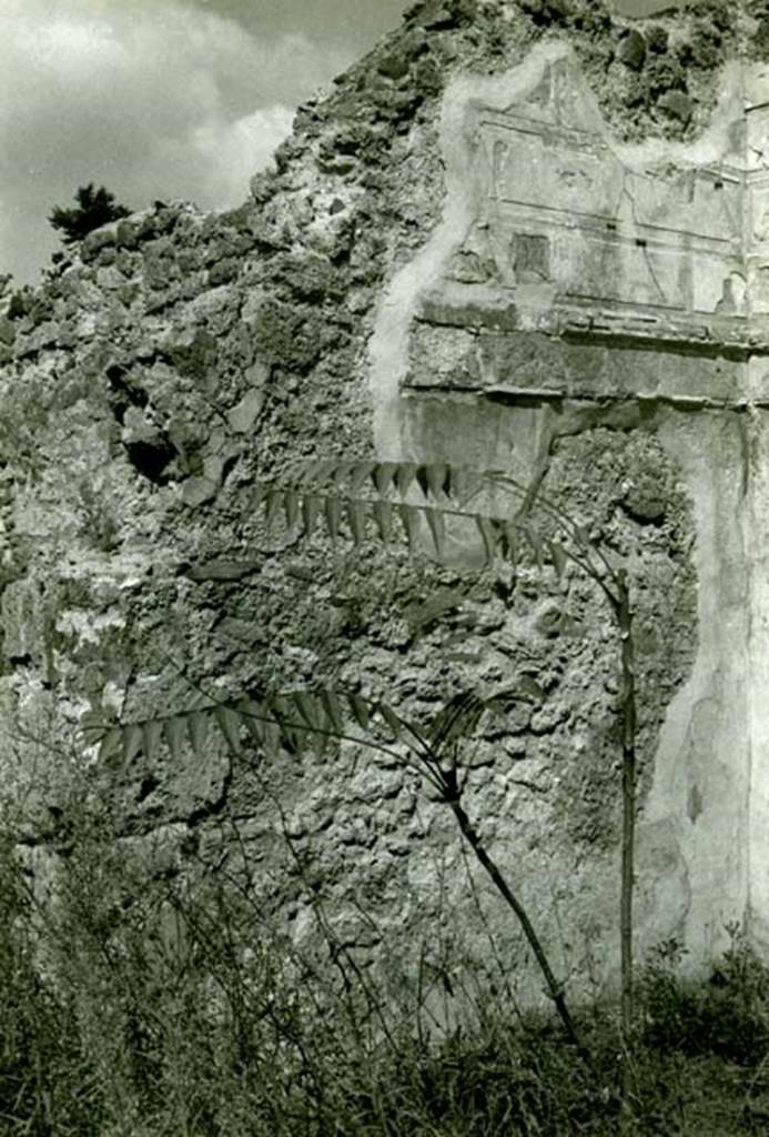 I.2.16 Pompeii. 1968. House, 2nd room, left of garden, left N wall, overall view.  Photo courtesy of Anne Laidlaw.
American Academy in Rome, Photographic Archive. Laidlaw collection _P_68_5_2.