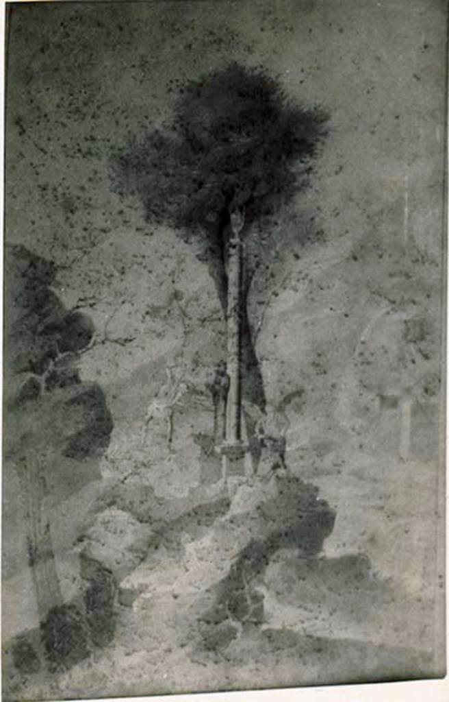 1.2.17 Pompeii. Painting of Selene and Endymion set in a sacral-idyllic landscape.
Photo included in Codex by Tatiana Warscher, described as Riproduzione dal disegno appartenente all’Istituto Archeologico Germanico.   See Warscher T., 1935. Codex Topographicus Pompeianus: Regio I.2. (no.30), Rome: DAIR, whose copyright it remains.  According to Warscher, quoting Bull. Inst. 1873, p.238/40 –  I.2.17 “Sulla parete destra del tablino della casa che sta sul cantone verso NE dell’isola 2, reg I, troviamo un paesaggio con figure mitologiche”.  (translation: I. 2.17 "on the right wall of the tablinum of the house which stands towards the north-east corner of insula 2, Reg. I, we found a landscape with mythological figures”.)  (There followed the full description of the painting).
“Tutto il resto è svanito. Ma mi disse il signore Sogliano, che fu presente quando questa pittura venne alla luce, che allora si vedevano bene i cavalli alati, e che inoltre sopra la testa della figura mentovata vi era una mezza luna. Non resta dunque il menomo dubbio che qui non si abbia a ravvisare Endimione e Selene, e che quell’uomo d’aspetto selvaggio non sia che una figura decorativa, un pastore, che con maraviglia guarda quello che succede. La pittura è grande m.1,34 + 0,85.  (translation: “Everything else has vanished. But according to Sogliano, who was present when this painting was brought to light, they clearly saw the winged horses, and also above the head of the figure mentioned there was a half-moon. There is not the least doubt, that here they had seen Endymion and Selene, and that the man of wild aspect was a decorative figure, a shepherd, who looked with wonder at what was happening.The painting was large, m. 1,34 + 0,85.”)
Nella stessa casa in una camera a destra del peristilio un piccolo quadro (m.0,64 + 0,31) rappresenta una villa con giardino e portici, situata al lido d’un lago.  Fra la villa e il lido havvi una statua ed un uomo chinato a terra.  (translation: In the same house in a room to the right of the peristyle, a small painting (m.0.64 + 0.31) showed a villa with garden and porticoes, located at the lido of a lake.  Between the villa and the lido, there was a statue and a man kneeling on the ground).
Un altro quadro in una camera a sinistra del tablino ci mostra Ercole che sta tranquillamente abbassando la destra colla clava, portando sulla spalla sinistra la pelle del leone. A sinistra si vede una colonna sopra una base. La pittura è larga m. 0,60, Ercole alto m.0,55”.  (translation: Another picture in a room to the left of the tablinum showed Hercules quietly lowering the right arm with the club, carrying on his left shoulder the lion's skin. To the left, one saw a column above a base. The painting was large m. 0,60, Hercules was m. 0,55 tall".)
See also Sogliano, A., 1879. Le pitture murali campane scoverte negli anni 1867-79. Napoli: Giannini. 
(Page 75, no.456, Selene and Endymion (our room 7)  
– Page 81, no.491, Hercules (see our room 10) 
– Page 143, no.691, Garden painting (our room 14).
With reference to the Garden Painting from the Peristyle (page 143, no.691), Sogliano described it as –  “Veduta di un giardino in cui sono due cancelli sormontato ciascuno da un’anfora, e dietro ad essi un boschetto con uccelli. (Bull. Inst, 1874, p.265)
(translation:"View of a garden in which there were two gates surmounted each by an amphora, and behind them a wood with birds”.)